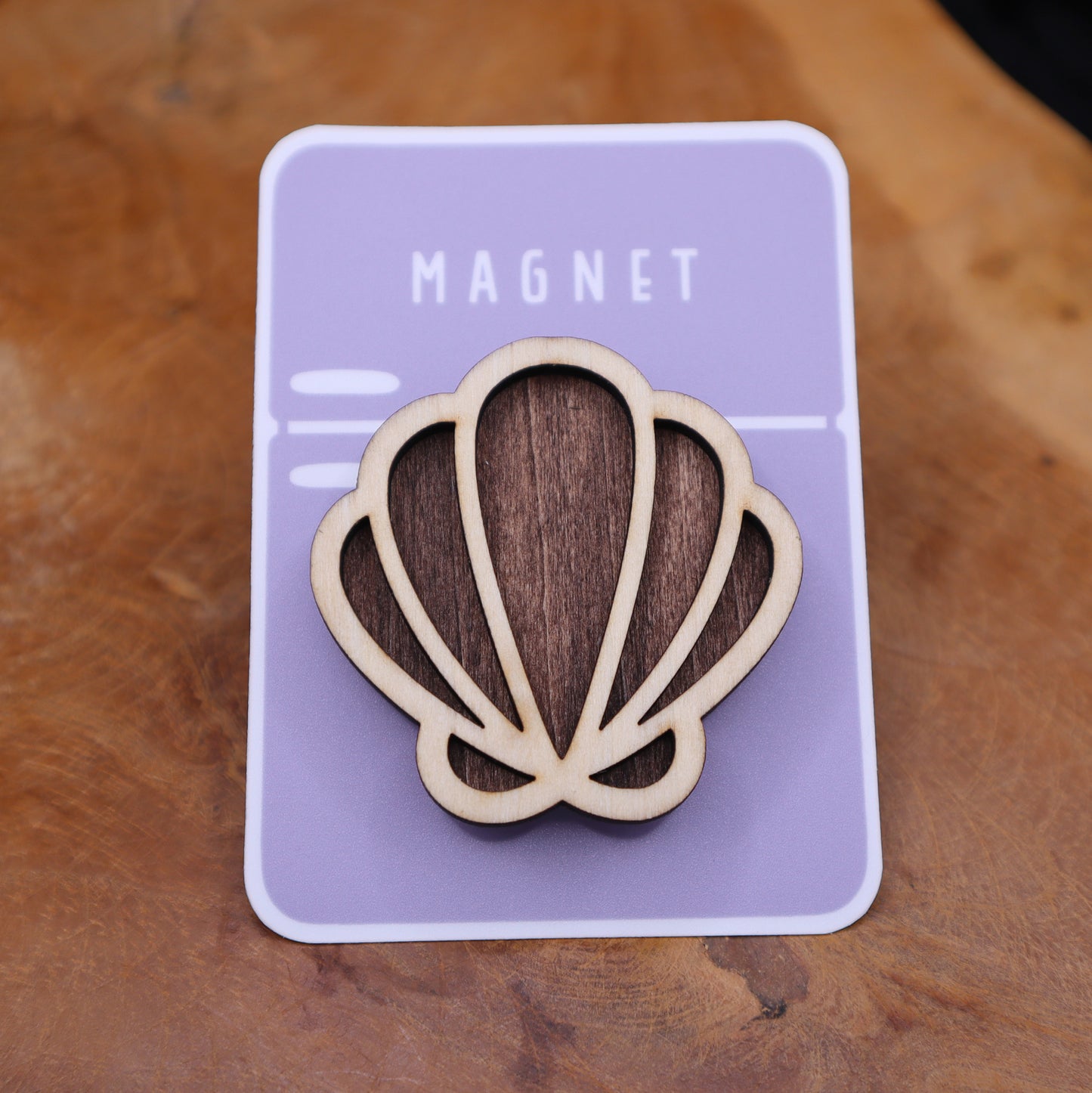 MuschelMagnet
